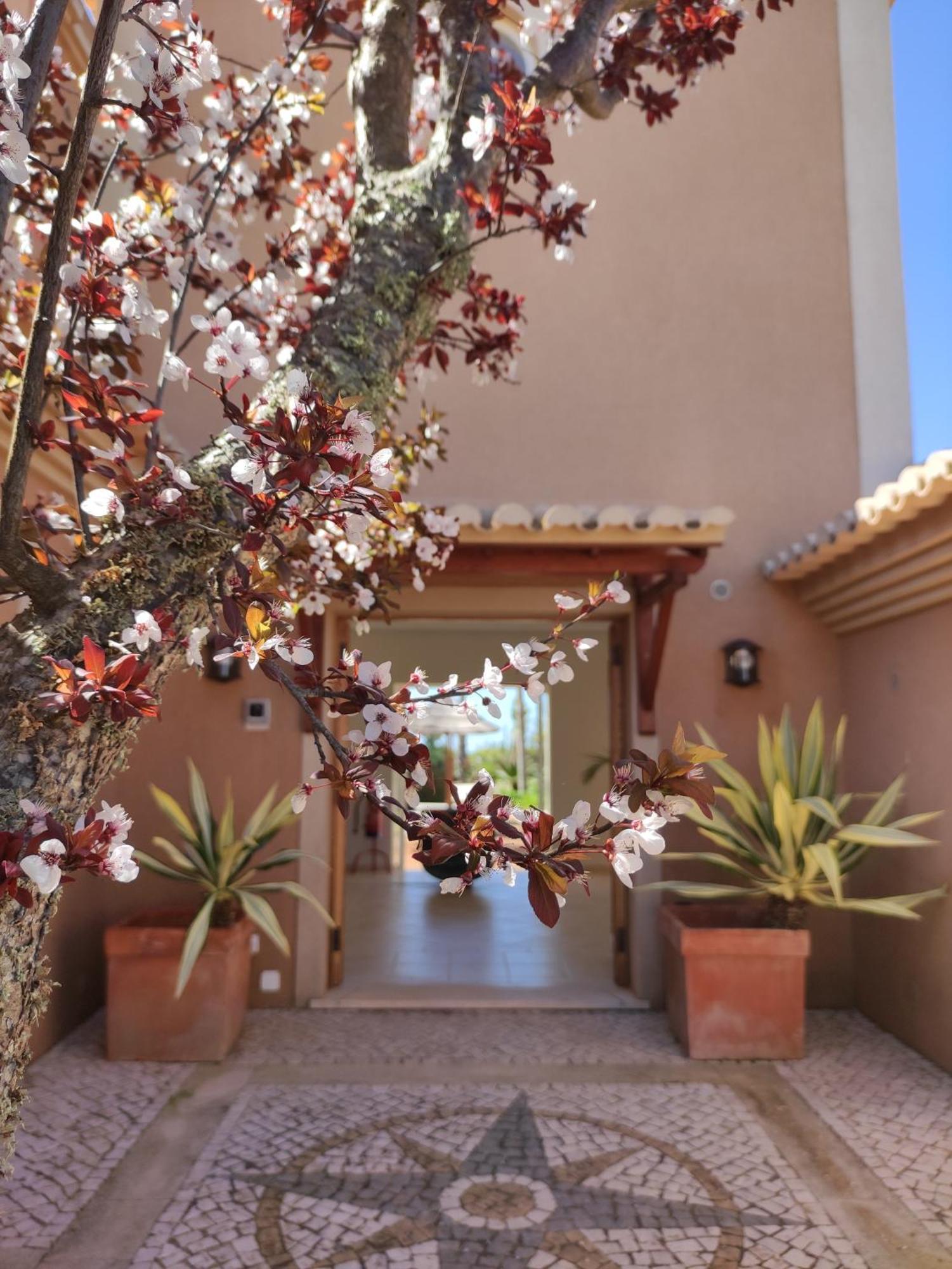 Casa Canavial Luz エクステリア 写真